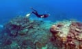 The Coral Gardens near Lady Elliot Island, on the Great Barrier Reef.