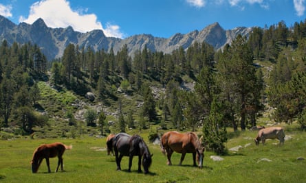 Horses grazing in the mountains of Andorra