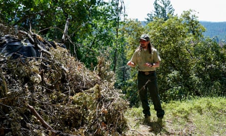man next to a pile of cut down trees