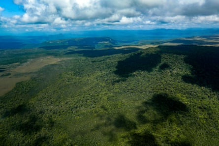 Aerial view of a forested landscape