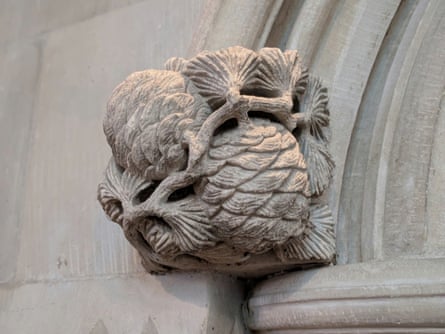 Cedar of Lebanon cones and needles.