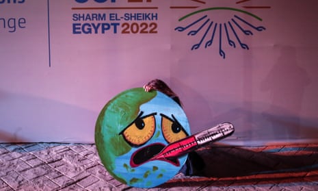 An activist holds a sign at the Cop27 conference on 19 November in Sharm el-Sheikh, Egypt