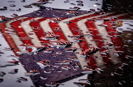 a flag in the water