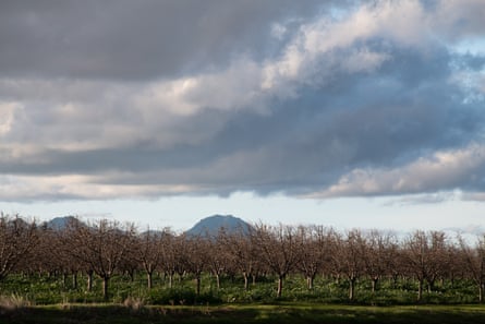 Orchards and farms surround Yuba City.