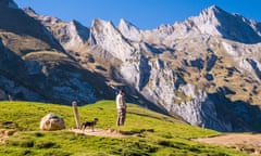 Man and dog at Col du Soulor pass, French Pyrenees, France.