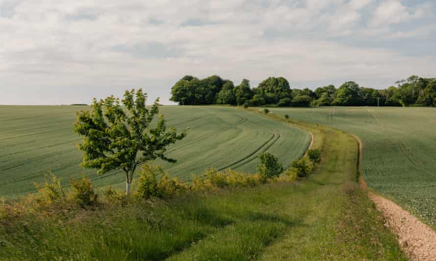 Heading north-west through open fields