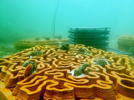 artificial reefs