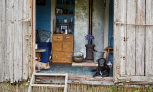 Two dogs in doorway of the railway wagon at Walnut Tree Farm