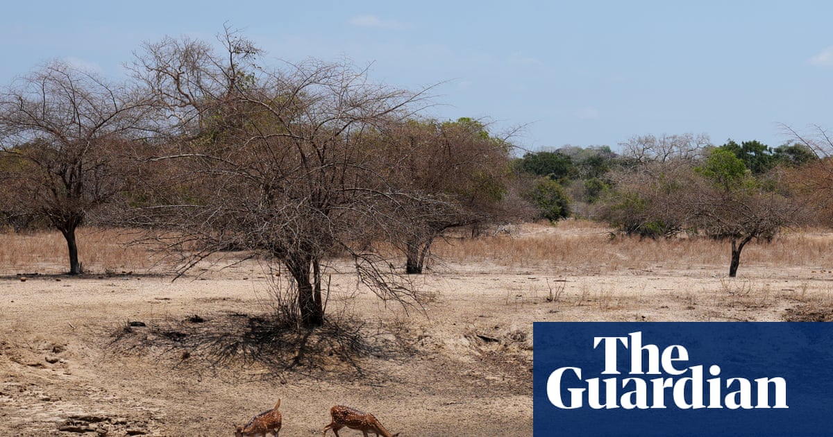 IPCC is under pressure to delay publication of key global climate report