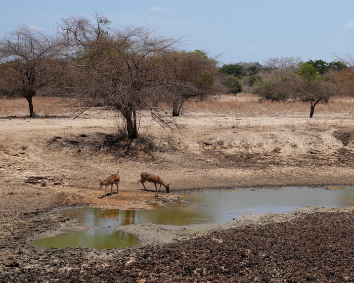 IPCC is under pressure to delay publication of key global climate report