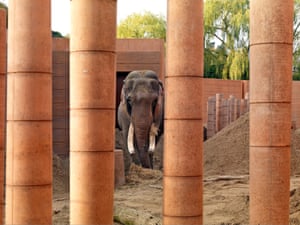 Overblown … Norman Foster’s elephant enclosure in Copenhagen zoo.
