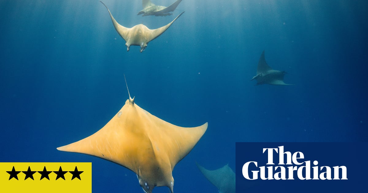 Ocean with David Attenborough review  a passionate case against the ruination of the seas