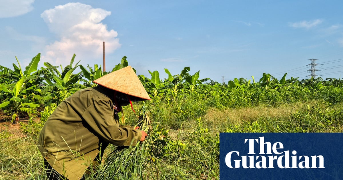 Vietnam Farmers Displaced for $1.5B Trump Golf Resort Offered Low Compensation