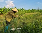 Farmers displaced by $1.5bn Trump golf course reportedly being offered rice and cash