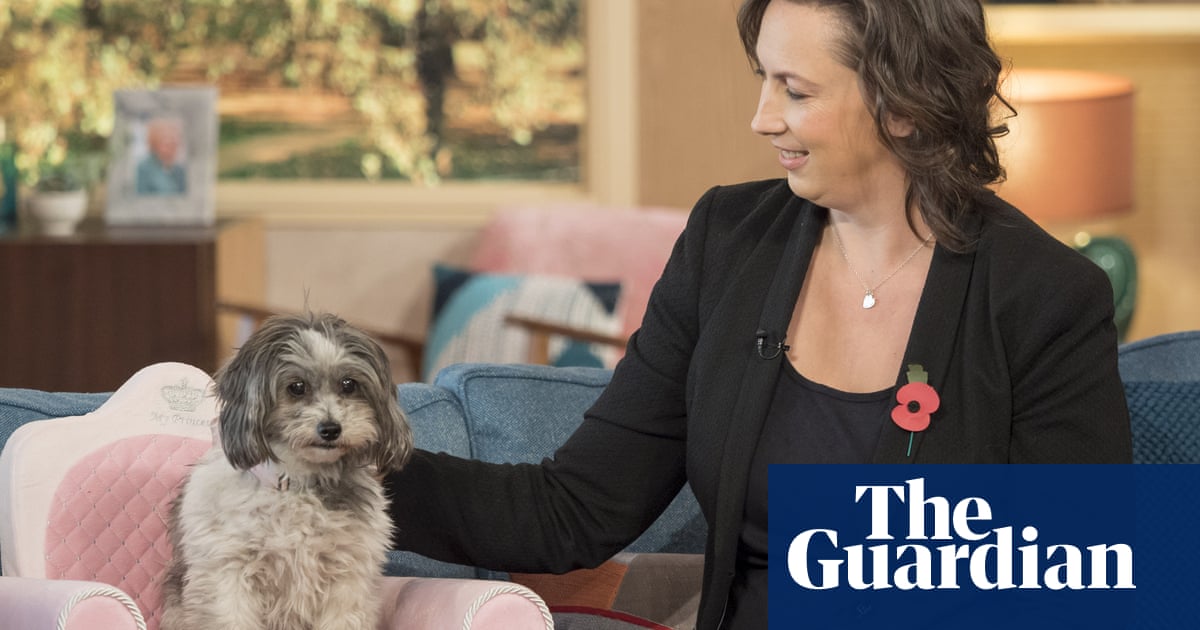 UK pet bereavement helplines report big rise in calls during Covid