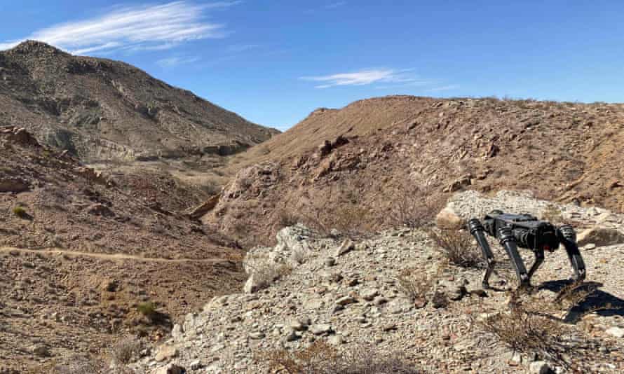 A robot dog stand on the dry terrain near the US-Mexico border.