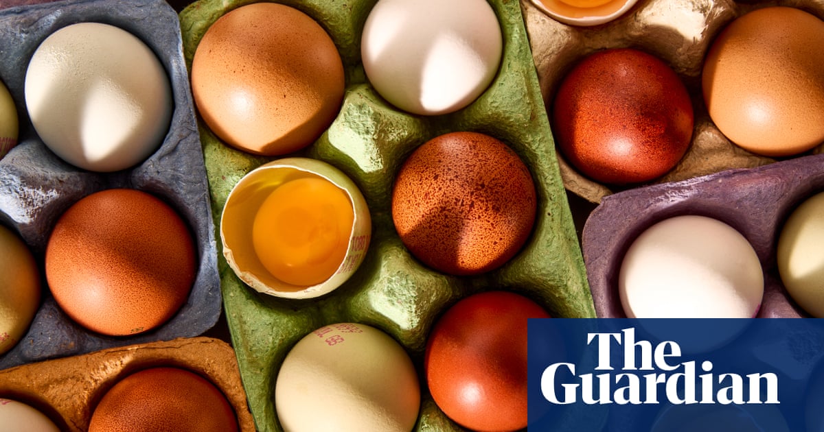 ‘Delicioso y asequible para engullir todos los días’: los mejores huevos de rango de supermercado, probados y calificados | Huevos ‘Delicioso y asequible para engullir todos los días’: los mejores huevos de rango de supermercado, probados y calificados | Huevos