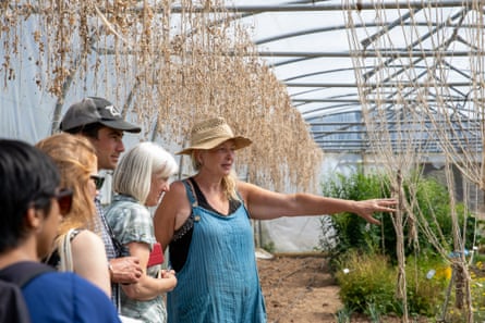 Riverford farm now has a negative gender pay gap, with women earning 1.56% more per hour than men.