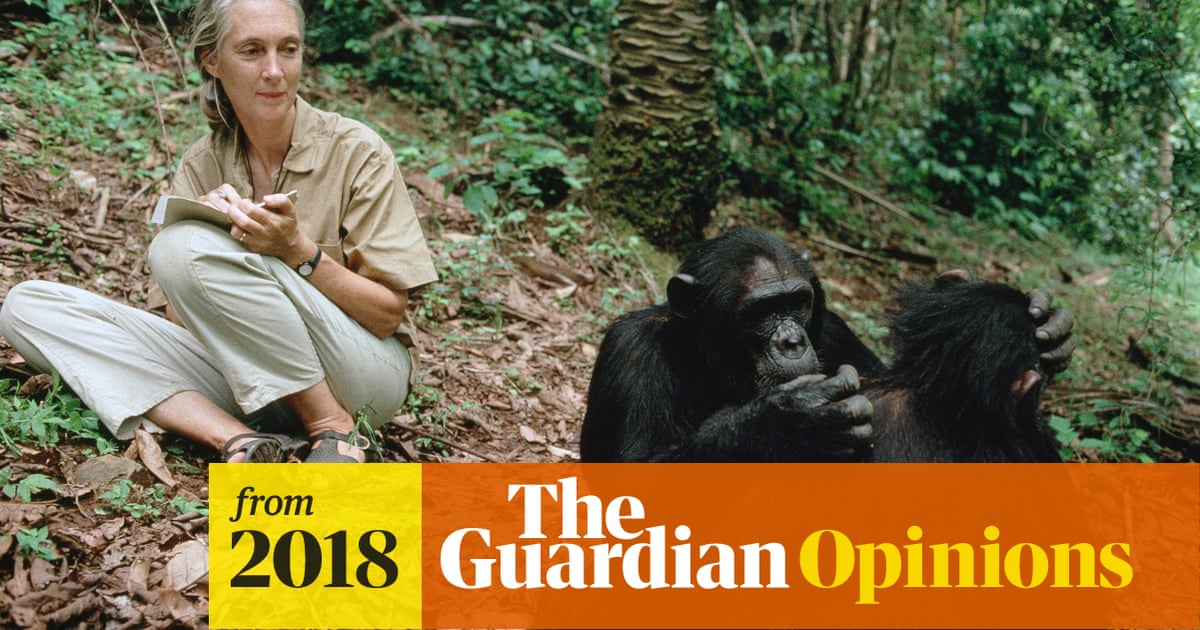 'The most intellectual creature to ever walk Earth is destroying its only home' | Jane Goodall