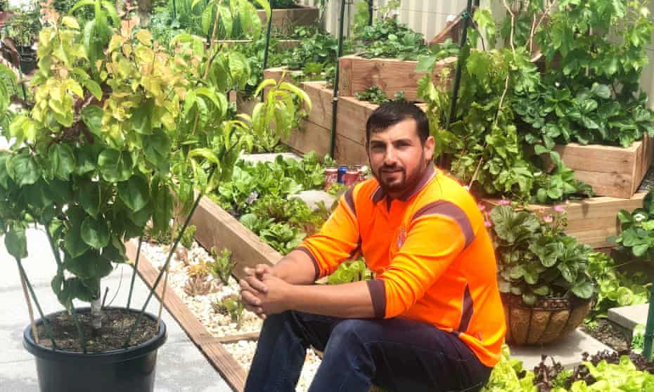 Hand graft: Aussie gardner claims world record with a tree that can bear 10 different fruit