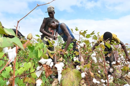 Almost half of worldâs farmers poisoned by pesticides every year, experts find Almost half of worldâs farmers poisoned by pesticides every year, experts find