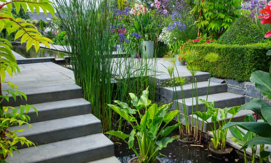 Steps beside the formal pool and rill, with box topiary and hagenia trees in pots.