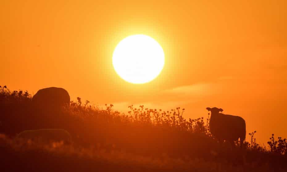 The sun rising over Burton Dassett hills in Southam, Warwickshire in July 2019, the hottest on record.