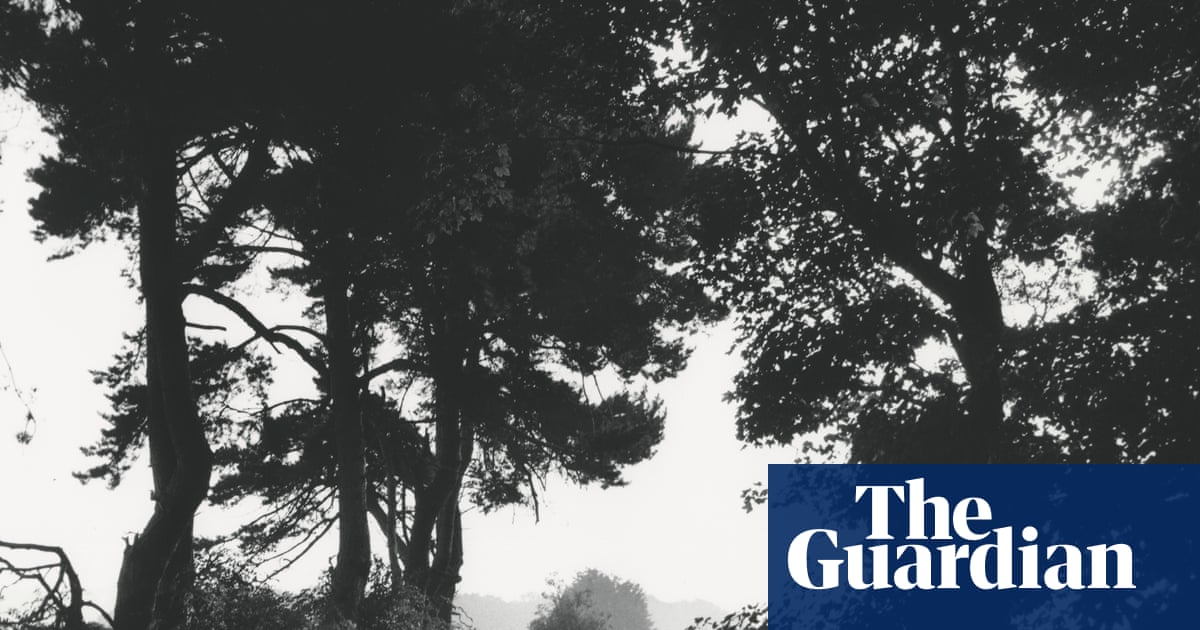 ‘Tracey Emin said they’re all about death’: Johnnie Shand Kydd on his dog-walk photographs – and capturing the hard-partying YBAs