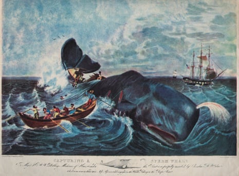 Small rowing boat in foreground, dwarfed by whale. Whaling ship in background