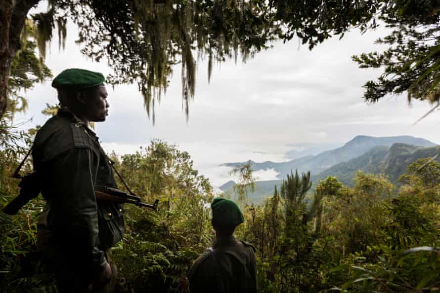 Rangers in Virunga national park. Last month, five rangers and a driver were killed in an ambush.