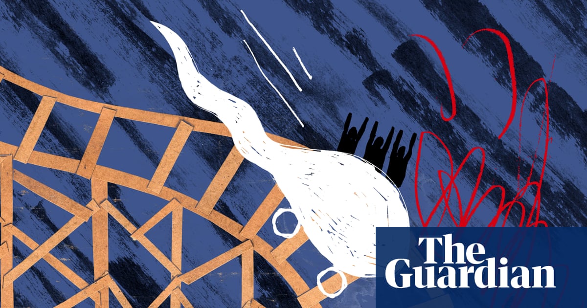 ‘Spermageddon’: is the world facing a male reproductive crisis?