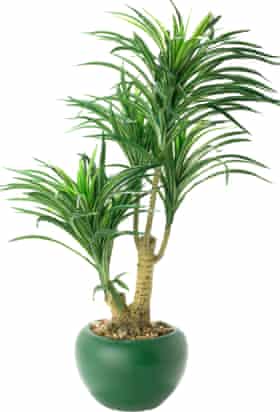 Plastic plant in pot