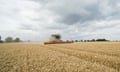 A field of wheat being harvested with a combine harvester