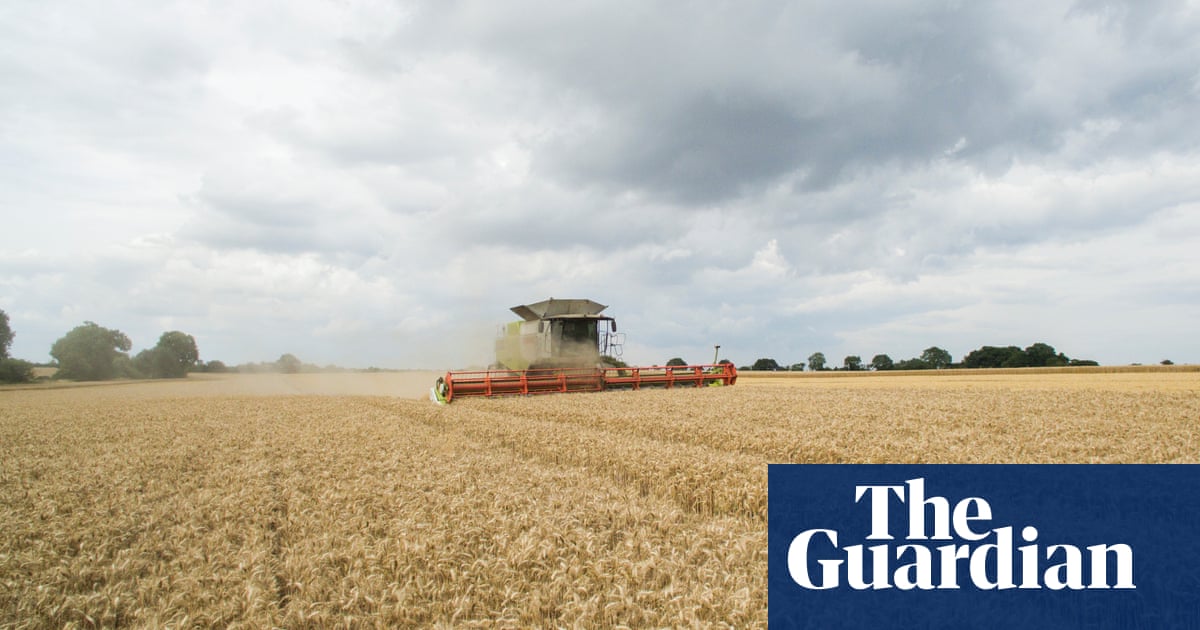 Kingsmill owner warns of price rises due to ‘very small’ expected harvests in UK | Associated British Foods | The Guardian