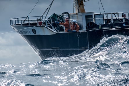 A shark is hauled into the hold of a longliner targeting swordfish in the south Atlantic ocean.