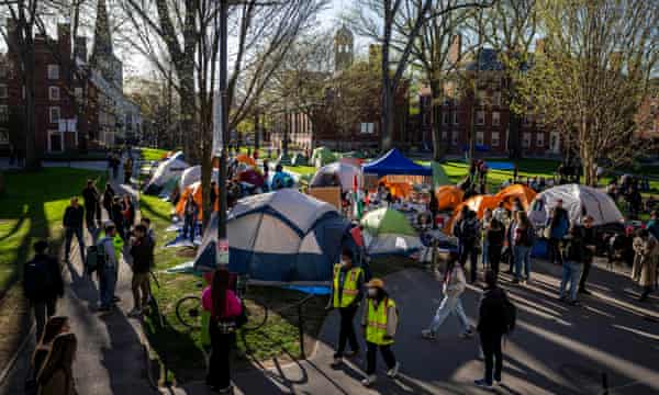 tents among trees on grass