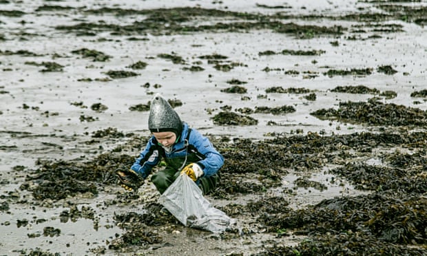 A child picking up oysters in Denmark
