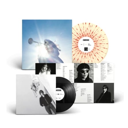 Geese Getting Killed Partisan Records from Rough Trade