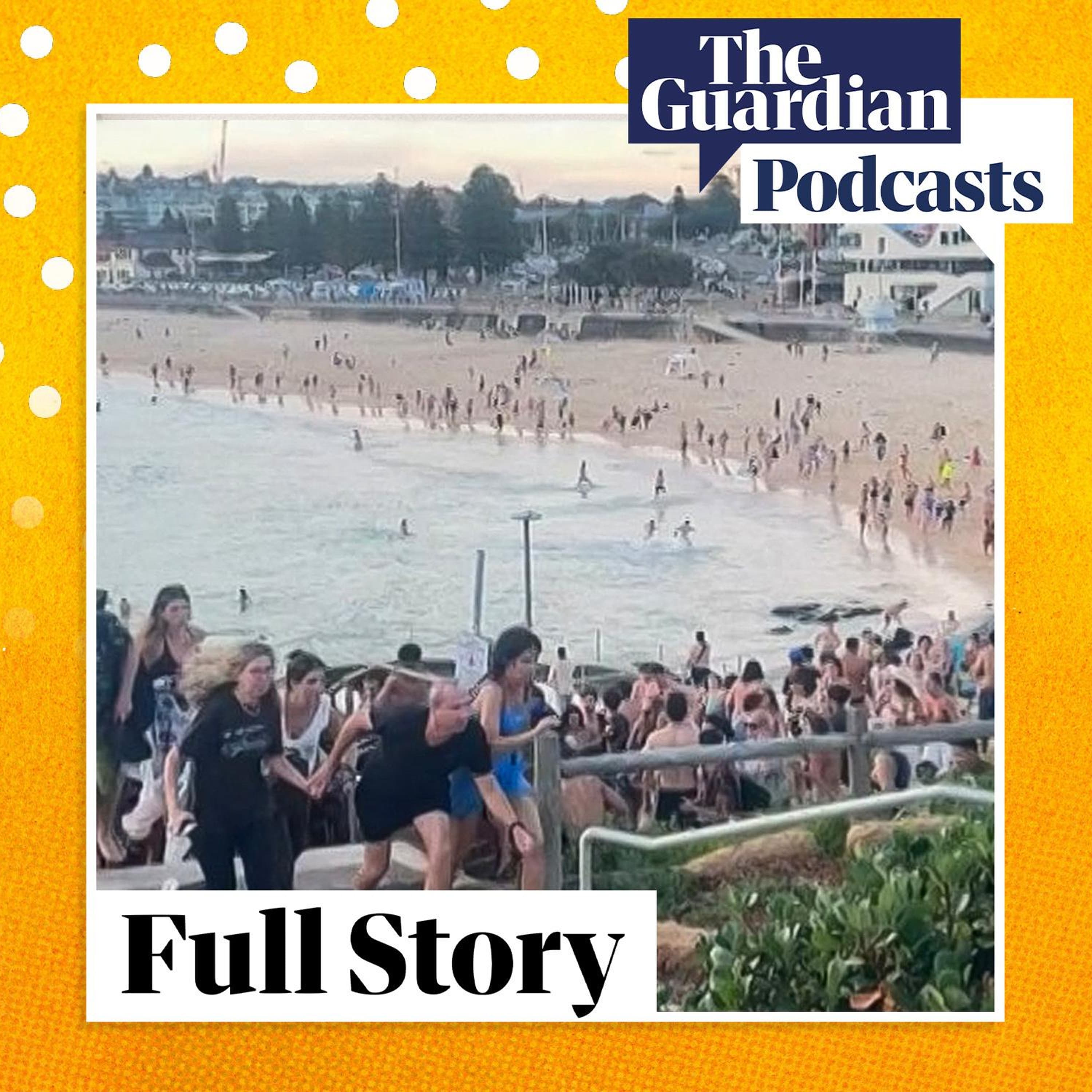 Terror in Bondi Terror in Bondi