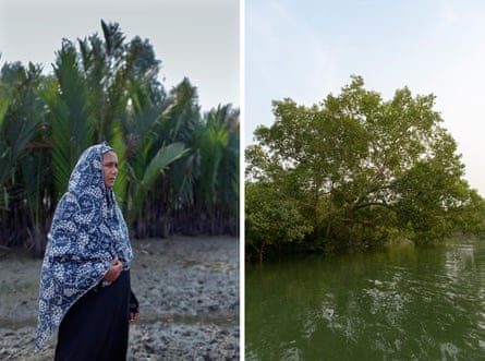 A composite photo of two images: on the left, an elderly and mournful-looking south Asian woman wearing a traditional dupatta over her head and shoulders stands on a muddy creek looks out to the right; a small boat pulled up on the muddy banks of a creek with a tree reflected in the water; on the right, a mangrove tree sits in water at high tide