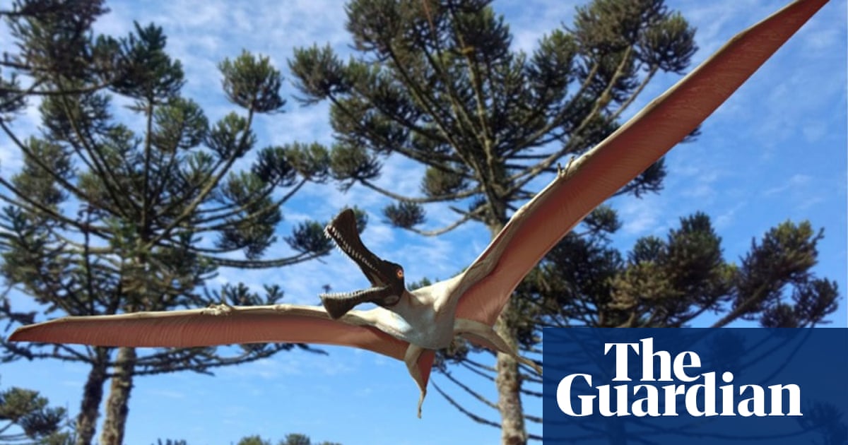 Fossilised Partial Skeleton Of New Flying Reptile Species Found In