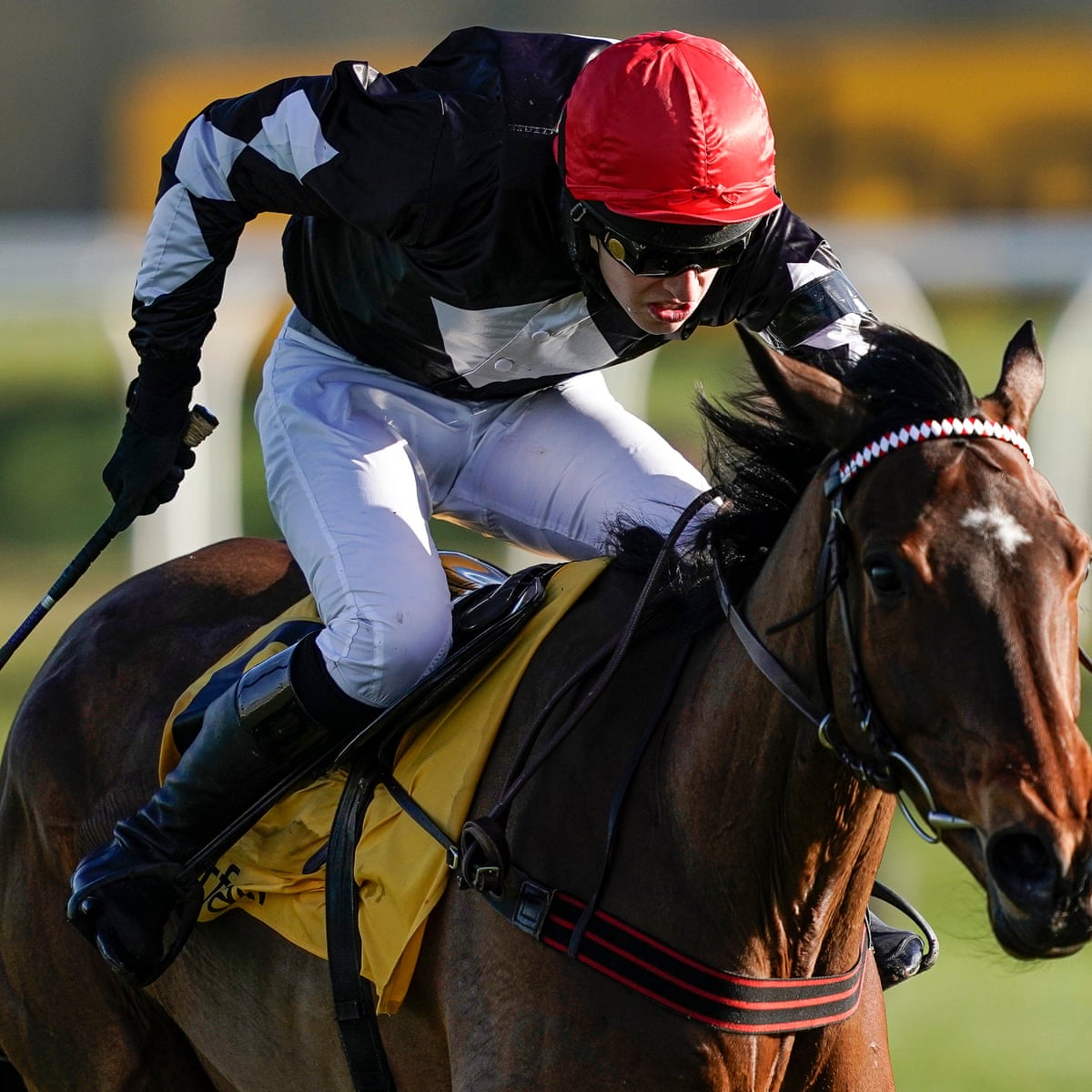 Talking Horses Take One For The Team To Seize Great Yorkshire Glory Horse Racing The Guardian Talking Horses Take One For The Team To Seize Great Yorkshire Glory Horse Racing The Guardian