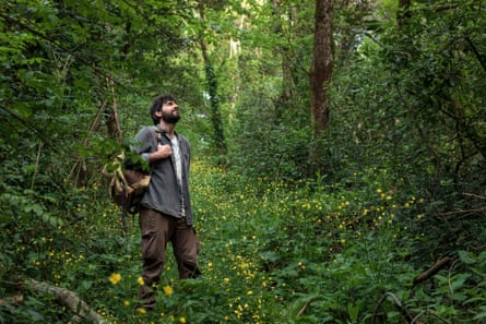 A man stands in a natural woodland, with yellow wildflowers on the ground