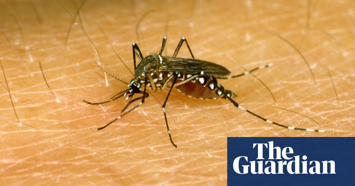 scientists-discover-how-mosquitoes-can-sniff-out-humans