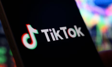 The TikTok logo is seen on a mobile phone screen