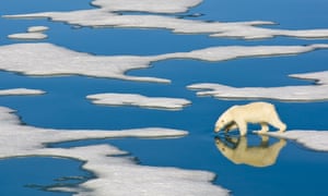 North pole could be 35C warmer than average this week, warn meteorologists 5392