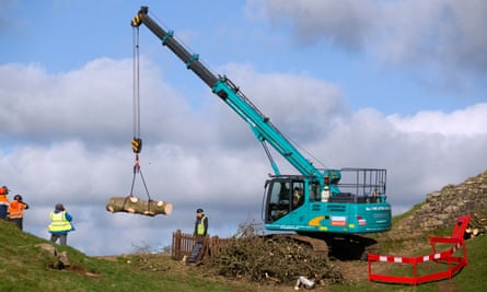 A crane hoists sections of the felled tree over Hadrian’s Wall at Sycamore Gap