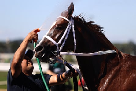 a man sprays water on a horse