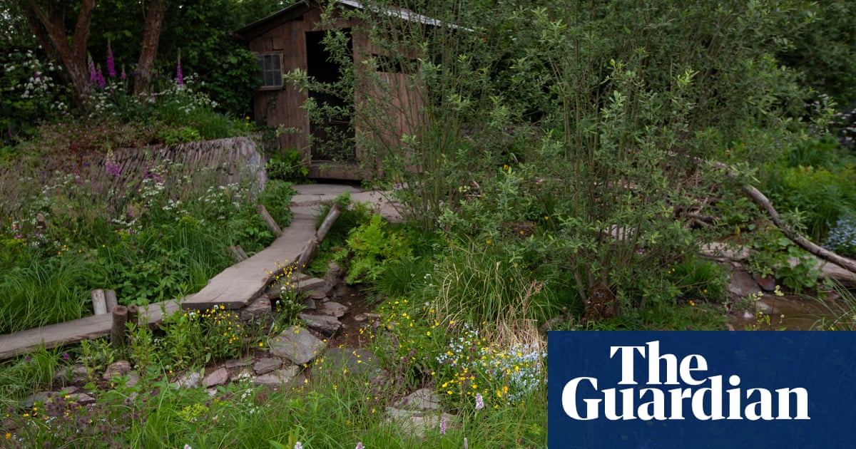 Beaver-themed rewilding garden wins Chelsea flower show top prize