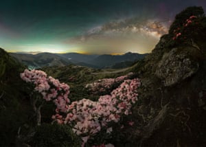 Milky Way above flower-covered mountainous landscape